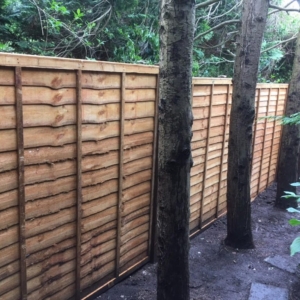 fence-with-trees fence-with-trees