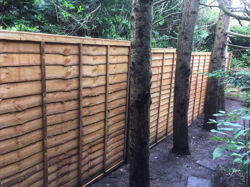 fence-with-trees fence-with-trees