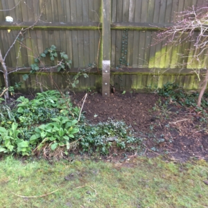 fence dorking fence dorking