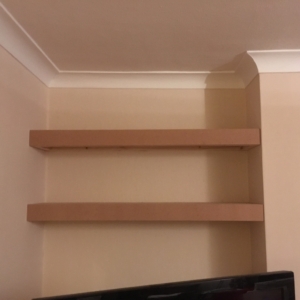 shelves 1